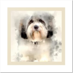 Havanese Watercolor Painting - Dog Lover Gifts Posters and Art